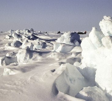 broken arctic sea ice floating on dark ocean water