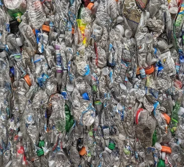 Compressed bales of used PET plastic bottles at a recycling facility